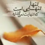 دانلود آهنگ گولی گولزاری من “هوش مصنوعی بازخوانی به زبان کردی و فارسی” از معین